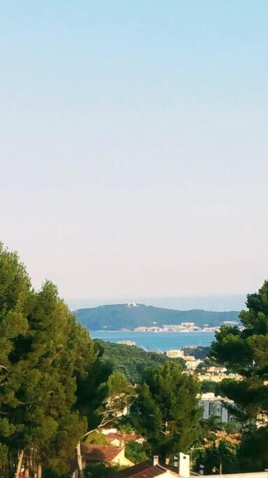 Villa Contemporaine F5 Cote Azur Ollioules Calme Eksteriør bilde