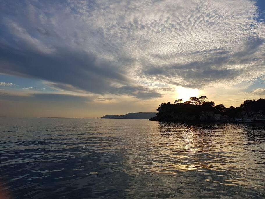 Villa Contemporaine F5 Cote Azur Ollioules Calme Eksteriør bilde