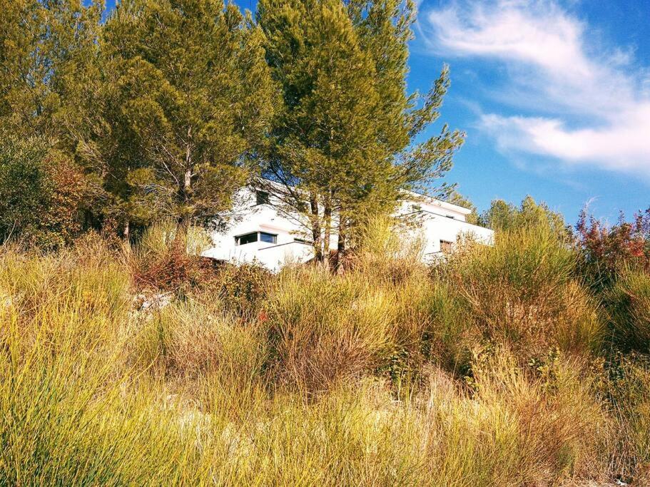 Villa Contemporaine F5 Cote Azur Ollioules Calme Eksteriør bilde